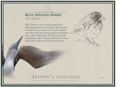 Darwin's Creatures Interactive animals education instruction interaction sketch ui web