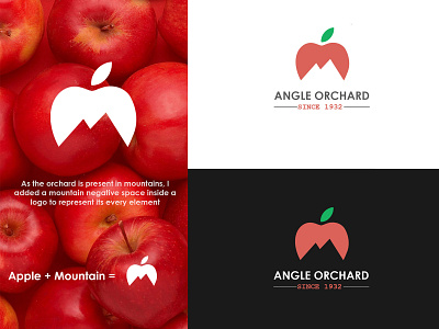 Angle Orchard branding creative icon logo orchard