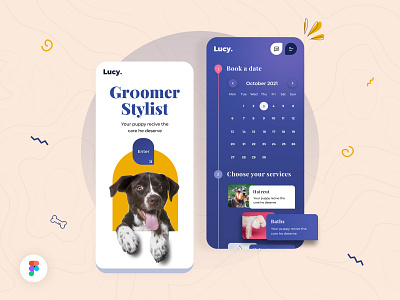 Pet Stylist App - Ui Design