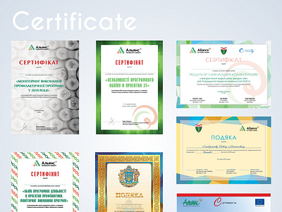Certificates branding design typography vector