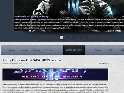 Purity League Homepage e sports gaming league purity league tournament