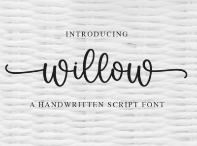 Willow Script Font abc branding calligrapy design fashion font graphic graphic design illustration logo script typography