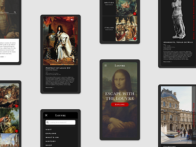 Museum App UI Design app app design app ui art app design branding design louvre app mobile app design museum app museum app design ui