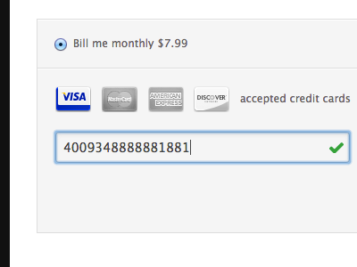 Snapjoy Payment Info credit card payment ui web