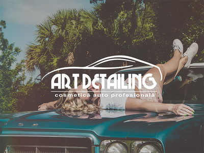 Car Detailing designs, themes, templates and downloadable graphic