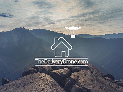 Drone Delivery delivery design drone drone logo fly graphic design logo logo design