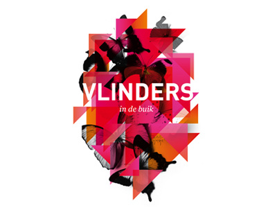 Vlinders butterflies red triangle