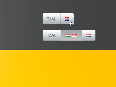 Language bar flags language