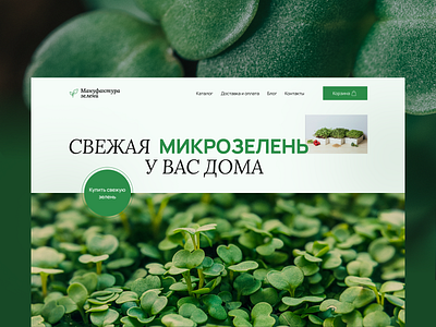 Online-store design e commerce microgreen online store site ui ux web design