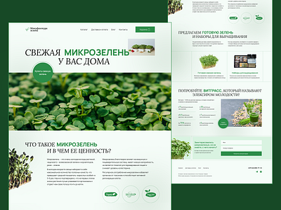 Online-store design e commerce microgreen site ui ux web design