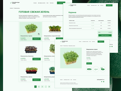 Online-store design. Catalogue, product card, shopping cart e commerce microgreen site ui ux web design