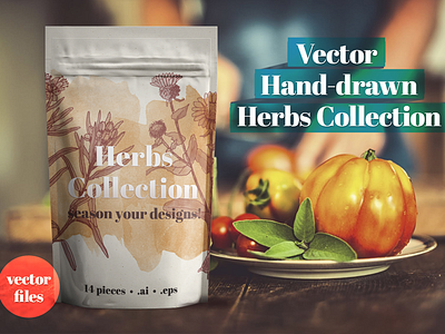 Hand-drawn Herbs Collection collection hand drawn herbs plants sketch vector