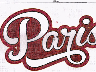 Paris Chenille embroidery Digitized embroidery design logo digitizing