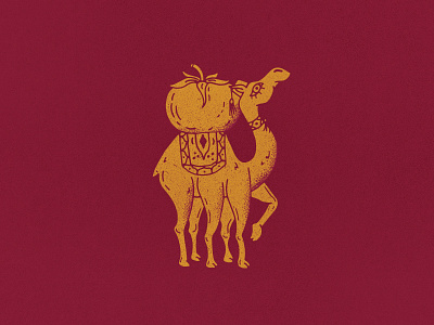 6-Legged Camel camel fez food food truck good legs mediterranean pita tomato