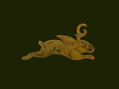 Jackalope antler antlers hare jackalope rabbit