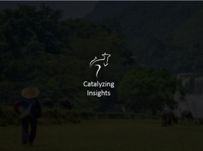 Catalyzing Insights