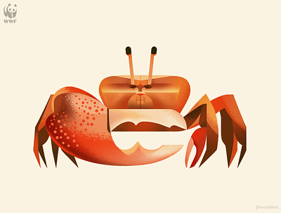 WWF Education Centre illustration, Fiddler Crab animal crab design fiddler crab illustration jlnvasiljevic minimal nature wwf