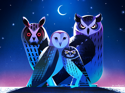 Owl gang