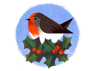 Christmas card- Robin bird card christmas cristmascard holy illustration robin winter