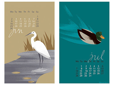 Vojvodina calendar animal bird calendar design drawing duck illustration nature painting river wildlife