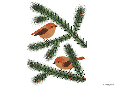 Illustrated calendar 2019. *Sedge Warbler* animal bird calendar calendar design design drawing illustration january minimal nature
