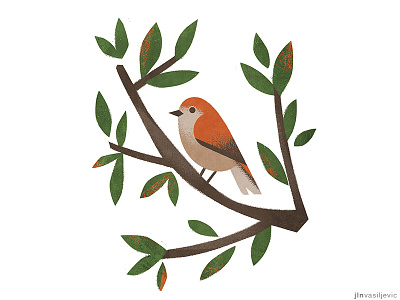 Illustrated calendar 2019. *Common Nightingale* animal bird calendar calendar design design drawing illustration jelena vasiljevic may minimal nature nightingale ornithology