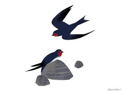 Illustrated calendar 2019. *Barn Swallow* animal bird calendar design digital drawing illustration jelena vasiljevic minimal nature ornithology september swallow