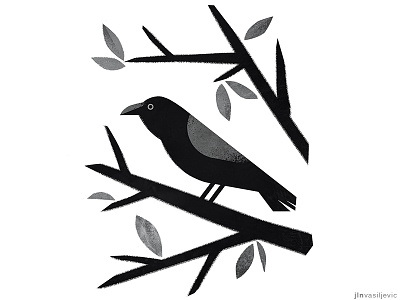 Illustrated calendar 2019. *Common Raven* animal bird calendar dark design digital drawing illustration jelena vasiljevic minimal nature november ornithology raven