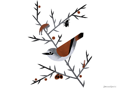 Illustrated calendar 2019. *Red Backed Shrike* animal art bird calendar design digital drawing hunter illustration jelena vasiljevic minimal nature october ornithology shrike