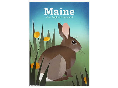 MAINE New England Cottontail Poster