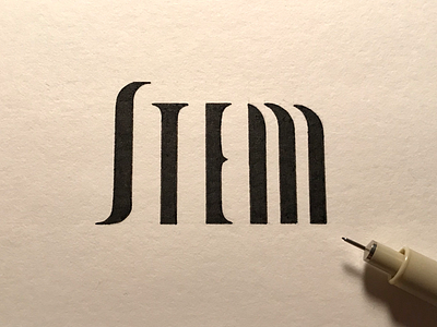 Stem: the main vertical stroke of a letter custom type handlettering ink stem type anatomy