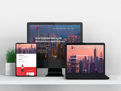 Ecommerce's Website Design