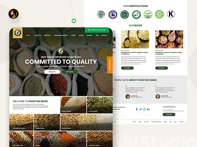 Pakistan Seed Web UI dailyui modern design webdesign