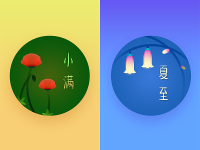 Chinese solar terms beijing chinese style corn poppy design flower illustration practice summer 中国节气 中国风 夏至 小满