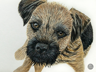Dog Portrait - Puppy Rufus