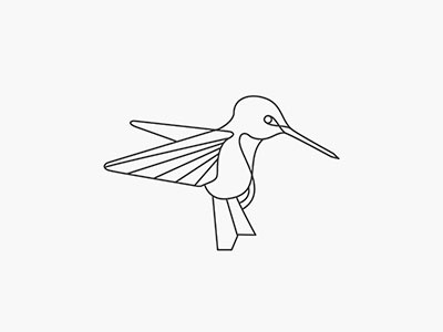 Hummingbird hummingbird illustration lineart