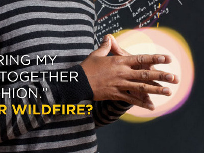 Project Wildfire, Poster Detail