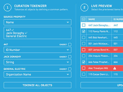 Tokenizer blueprint palantir wireframe