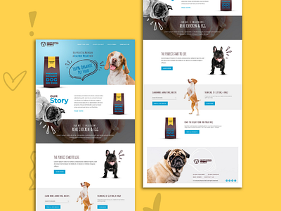 Organic Dog Food Web Design & Development - Free PSD