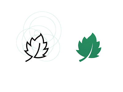 Mapple leaf logo canada construction forest green icon leaf logo mapple nature symbol tree