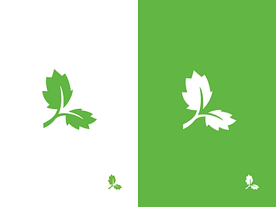 Leaf logo II design eco ecologic flat forest graphic green icon leaf logo mapple nature