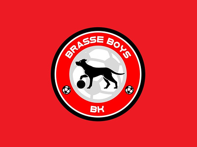 Football team Logo