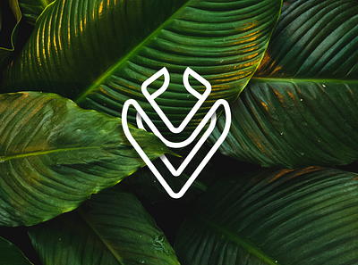 vizvlo logo branding graphic design green illustration logo vector