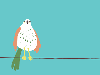 Birdy design illustration vector