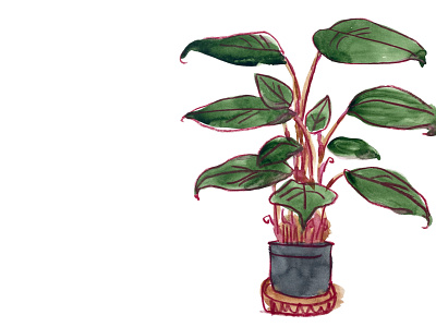 Philodendron crayon hand drawn illustration watercolor