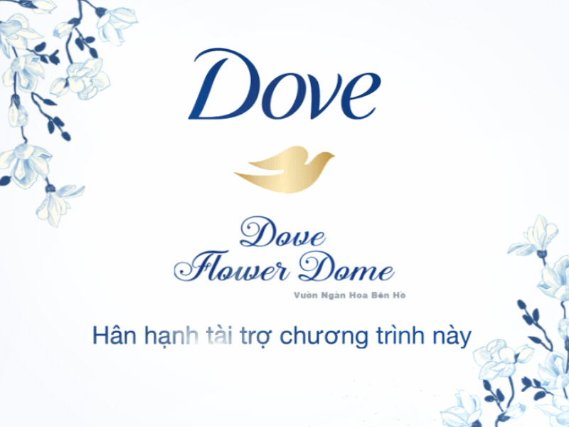 Dove 2d animation dove gif loop motion motion grpahic