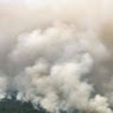 Asadillo yoldoshboev