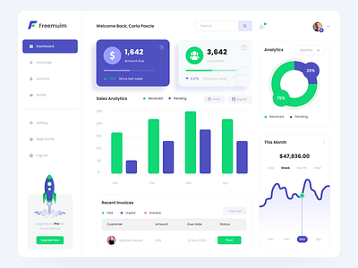 Freemium Dashboard Template