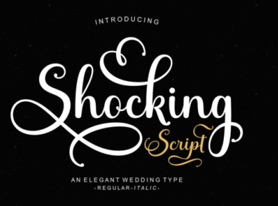 Shocking Fonts branding design icon illustration logo modern vector