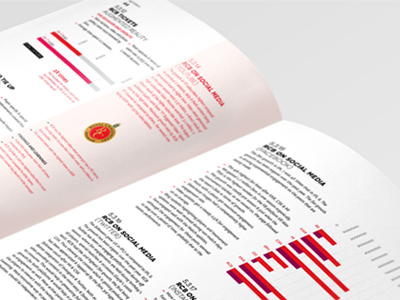 RCB Season Review 2014 annual report india infographics ipl layout rcb